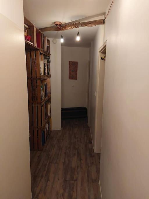 Le Cosy-Chic - T3 Balneo A Villeurbanne / Lyon מראה חיצוני תמונה