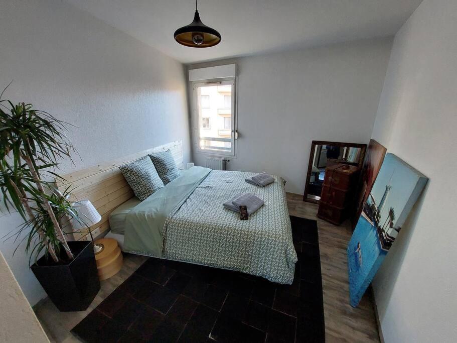 Le Cosy-Chic - T3 Balneo A Villeurbanne / Lyon מראה חיצוני תמונה